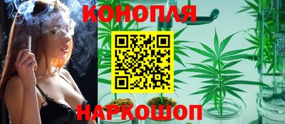 индика Краснокаменск