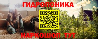 индика Краснокаменск