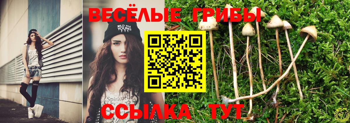 Качканар  где найти   Вход с VPN  Галлюциногенные грибы Magic Shrooms 