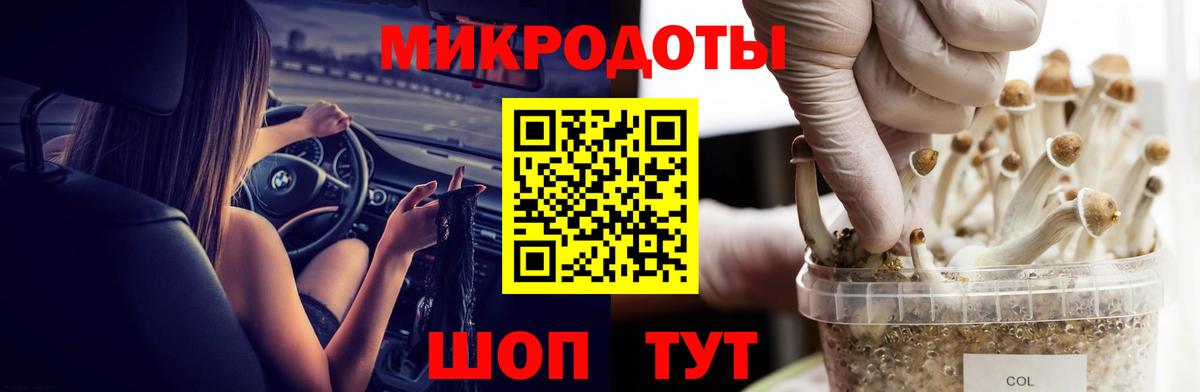 Галлюциногенные грибы GOLDEN TEACHER Качканар